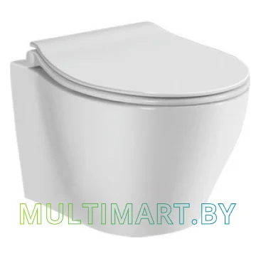Унитаз CeramaLux CL 2101